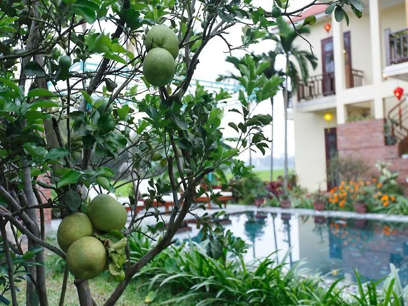 Lama Homestay הוי אן