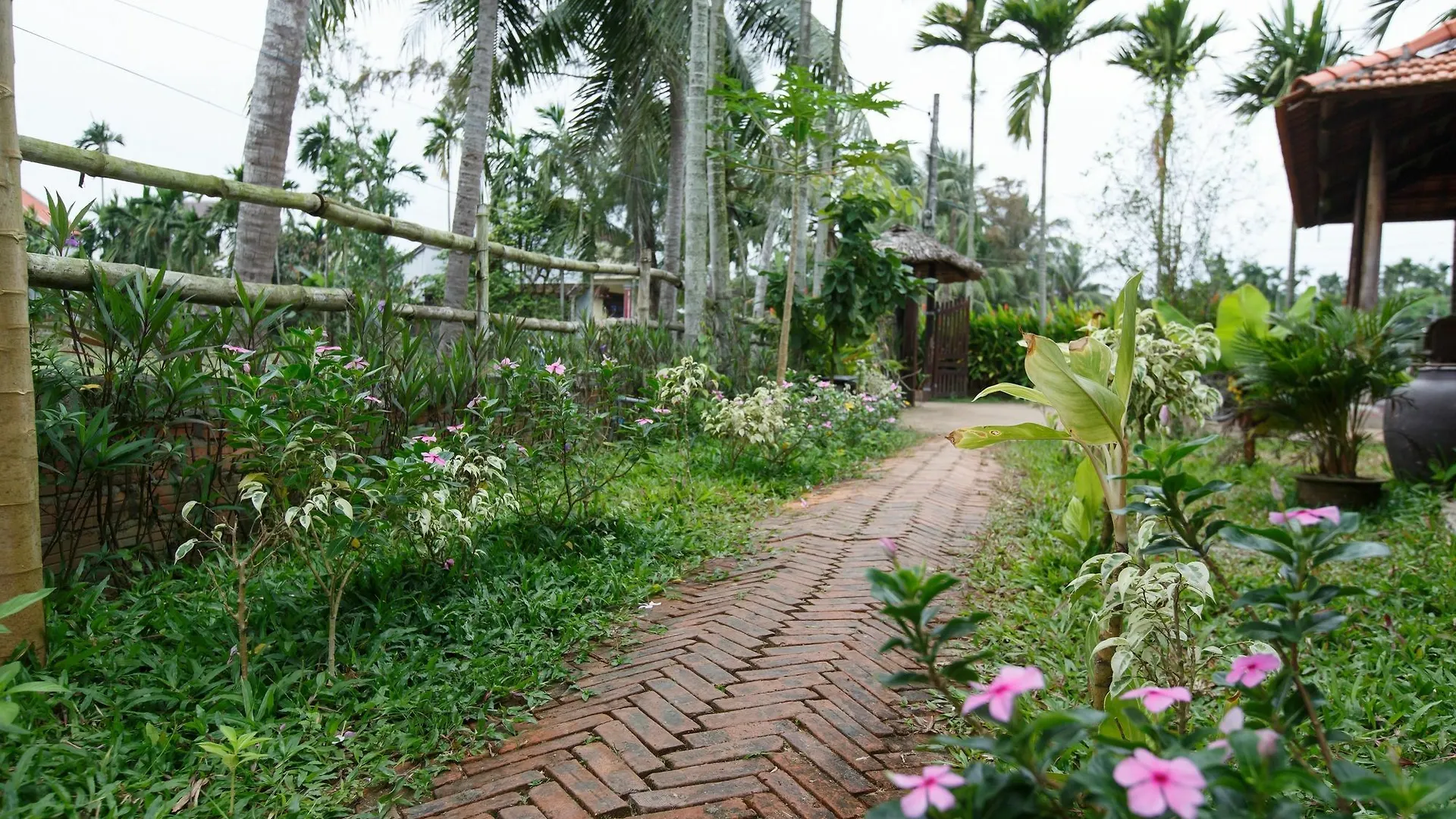 מלון Lama Homestay הוי אן