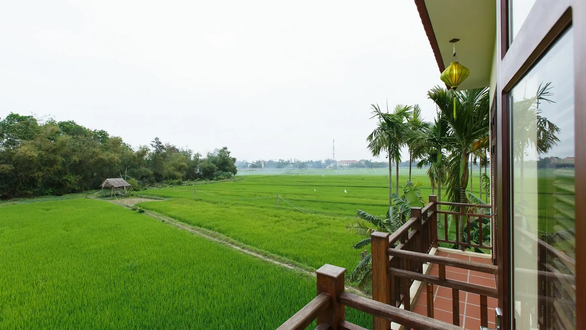 *** מלון Lama Homestay הוי אן וייטנאם